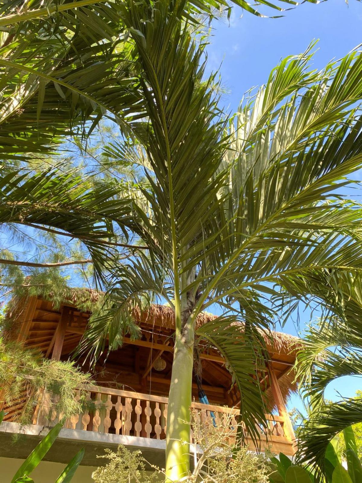 Palm Green Hotel Kuta  Eksteriør bilde
